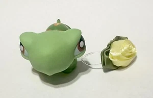 Littlest Pet Shop coppia di animali domestici #119 tartaruga - Foto 1 di 3