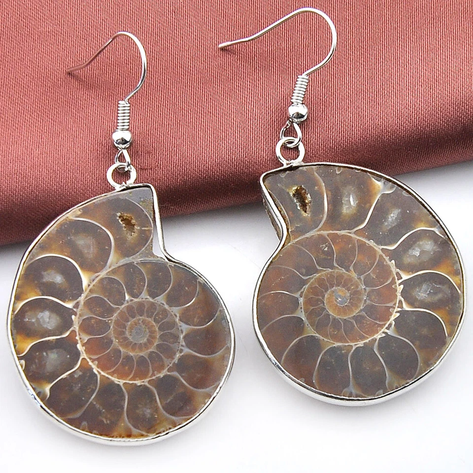 Big Promotion! Woman Huge Natural Ammonite Fossil Gesmtone Silver Earrings  - Image 1 of 4
