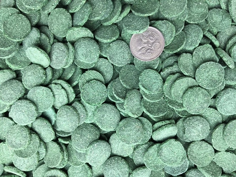 100g Algae wafers - Spirulina discs10mm - Bottom Feeders fish food  - image 1 of 1