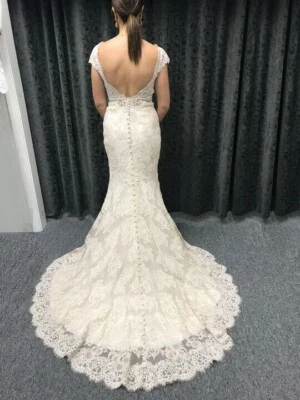 Vestido de novia romántico de encaje Allure Bridals 12 marfil champán 9313-IV $1494 Foto 1 de 4