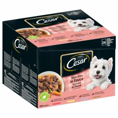 Cesar Feines im Frischebeutel Favoriten in Sauce 96 x100g Hundefutter Nassfutter - Bild 1 von 4
