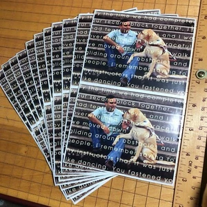 10 pegatinas de perro guía de la señora Grossman (20 pegatinas) ojo que ve plomo persiana de trabajo - Imagen 1 de 3