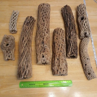 Lot of 8 Natural Cholla Wood Pieces – Aquarium Reptile Terrarium Craft Décor - Image 1 of 4