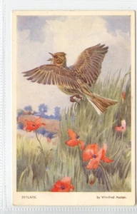 (KLj2495) Nature Series, Skylark, c1930 - Picture 1 of 2