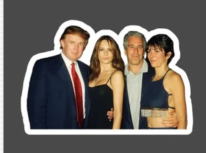 4" TRUMP EPSTEIN Ghislaine Melania 2024 STICKER patriot DONALD 5 PACK Collusion - Picture 1 of 1