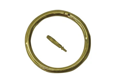 Anillo de toro NEOGEN CORPORATION 7002, autoperforante, latón, 3 pulgadas Foto 1 de 2