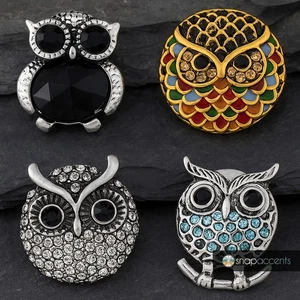 Owl Snap Jewelry Ginger Charm 20MM Bird Animal Interchangeable Snap Charm Button - Picture 1 of 12