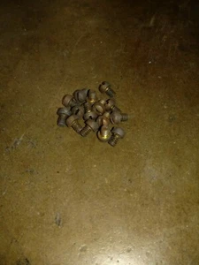 #6-32 X 3/16 fillister screw brass (100pcs) - Picture 1 of 1