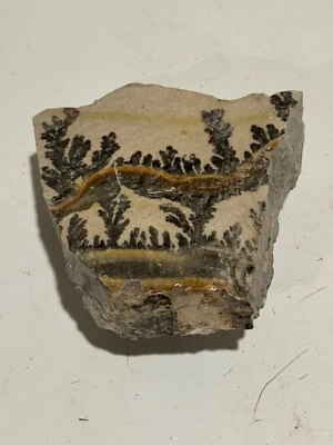 DENDRITE HELECH UTAH Foto 1 de 2