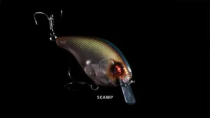 13 Angeln Square Bill Crankbait Scamp 1,5 oder 2,5 Tragflächen Carbon Bill - Bild 1 von 12