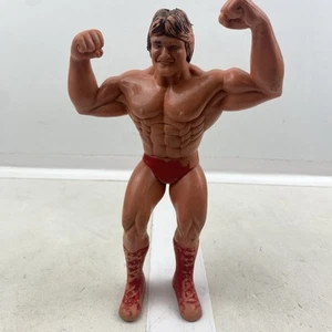 Paul Mr. Meraviglioso Orndorff 1985 WWF LJN Titan Sports 8" Wrestling Superstars - Foto 1 di 10