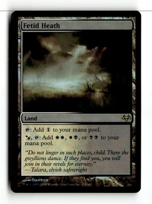 MTG Foil Fetid Heath - Eventide Moderately Played English - Image 1 of 3