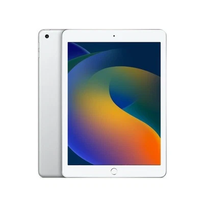 Apple iPad Mini 7.9" 5a Gen Argento Ricondizionato - 64GB Wi-Fi - Immagine 1 di 4