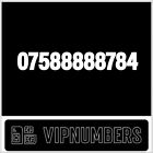 07588888784 Memorable GOLD PLATINUM VIP MOBILE NUMBER Pay as You Go SIM CARD