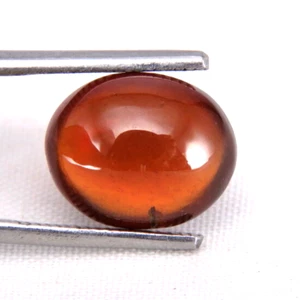 SHOLA Real 5,69 Ct Hessonita Natural Granate de Ceilán - Imagen 1 de 2