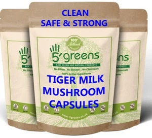 Tiger Milk Mushroom Capsules 5000mg 100% Clean Natural Genuine Vegan 5greens - Picture 1 of 6