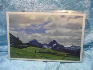 Caribou Postcard - Picture 1 of 2
