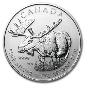 2012 CANADIAN MOOSE COIN - 1 OZ. SILVER - $5 FIVE DOLLAR - MINT BU - Picture 1 of 2