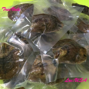100 Individually Wrapped Akoya Oysters Each With 7-9mm Pearl(s) - Picture 1 of 2