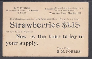 US Sc UX12 used 1897 1c Advertising Postal Card, Fruit Packer & Strawberries - Picture 1 of 2
