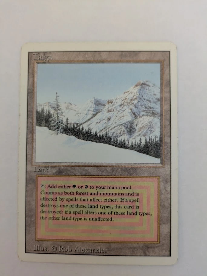 Taiga Magic: The Gathering Individual Trading Card Games for sale