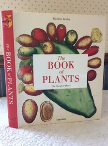 THE BOOK OF PLANTS by Basilius Besler - 2007 - Art - Natural History - Imagen 1 de 5