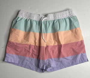 Chubbies Swim Shorts Sz M 5.5 Inseam Lined Stripe Multi-Color Pattern Pockets - Picture 1 of 6