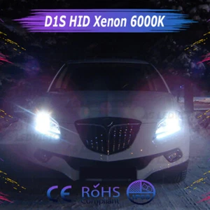 2x Lampadine D1S Xenon HID 35W Bianco 6000K per Lancia Delta Phedra Ypsilon Voyager - Foto 1 di 10