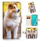 ( For Google Pixel 6A ) Wallet Flip Case Cover Aj23417 Collie Dog