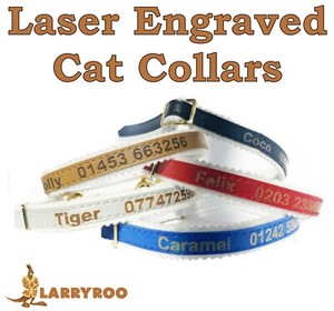 personalised cat collars ebay