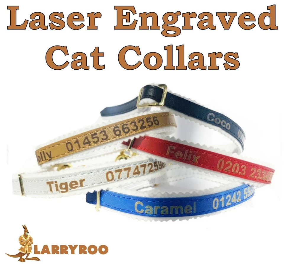 ANCOL Personalisiertes Halsband Katze Kätzchen Ausweisschild, Lasergravur, hochwertig hergestellt in Großbritannien