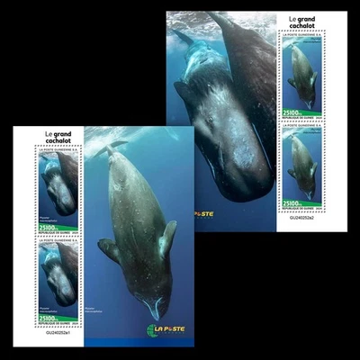 Марки кашалотов 2024 Гвинея 2 М/С как новые без наклеек и следов - Изображение 1 из 3