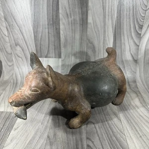 Präkolumbianischer Mexikanischer Pro Colima Hund mit Mais - selten - Bild 1 von 9