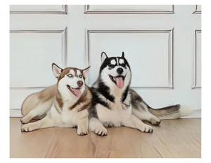 "Foto artística de perros husky 8x10 en 8,5"" x 11" - Imagen 1 de 1