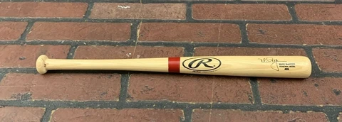 Rawlings Mark McGwire Mini Baseball Bat Cover