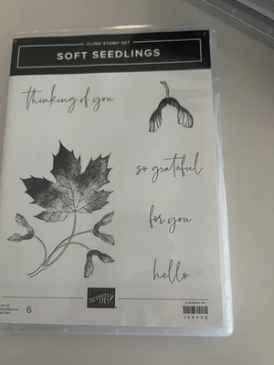 Juego de estampillas PLÁNTULAS SUAVES estampación pensando en ti hoja tan agradecida hola nuevo Foto 1 de 2