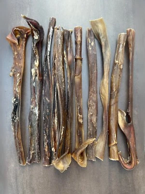 15 cm Long Camel Skin Pizzles Sticks 100% Natural-Organic Hard Dog Chew 300g - Image 1 of 4