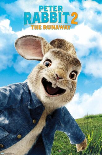 Peter Rabbit 2 - Close - Up Poster