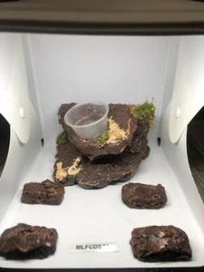 Small Desert Magnetic Rock Ledge With 5 Feeder Cups For Reptiles and Terrariums - Picture 1 of 10