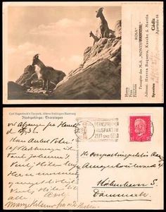 España - Paquebot - o TP sello alemán - Postal con etiqueta "Pasagier M.S. Monte - Imagen 1 de 1