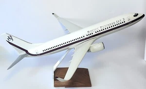 Boeing 737-800 BBJ Business Jet Pacmin Corporate Collectors Model Scale 1:100 - Imagen 1 de 8
