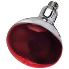 Intelec Hard Glass Infra-Red Heat Bulb 250W Resistant To Water Splash Ruby/Clear