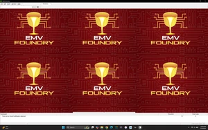 EMV SECURITY SOFTWARE BUNDLE - (COMPACT DISC IN MAIL 📨) - Afbeelding 1 van 4