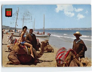 Postcard Camel At The Sea Side Tanger - Picture 1 of 2
