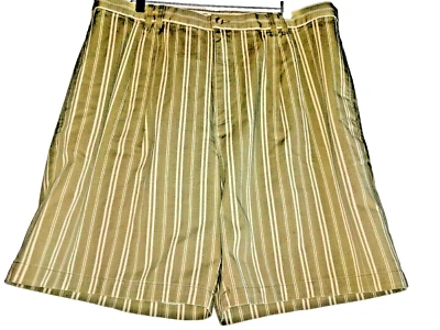 Geoffrey Beene Shorts Mens Size 40 Striped Walking Shorts Cotton NWT New - Image 1 of 4