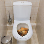 Lovely Squirrel Toilet Seat Sticker 3D Removable Bathroom Decals Self Adhesive