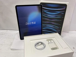 IPAD APPLE IPAD PRO (WI-FI) (A2759) 256GB (11 19474338 - Imagen 1 de 4