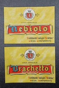 Lotto 2 Etichette Vino Stabilimenti Enologici Scarpa Nizza - Nebiolo e Brachetto - Picture 1 of 1