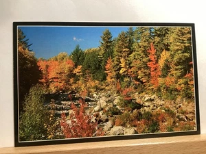 Brilliant Foliage Along the Swift River: White Mountains, NH - Vintage Postcard - Picture 1 of 3