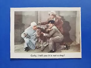 1959 Fleer Three Stooges Card #67 - Moe Larry Curly NM - Picture 1 of 2